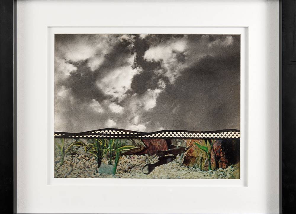 Fish and Sky (Study), 1967